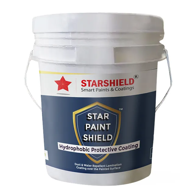 Star Paint Shield.webp