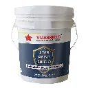 Star Paint Shield.webp